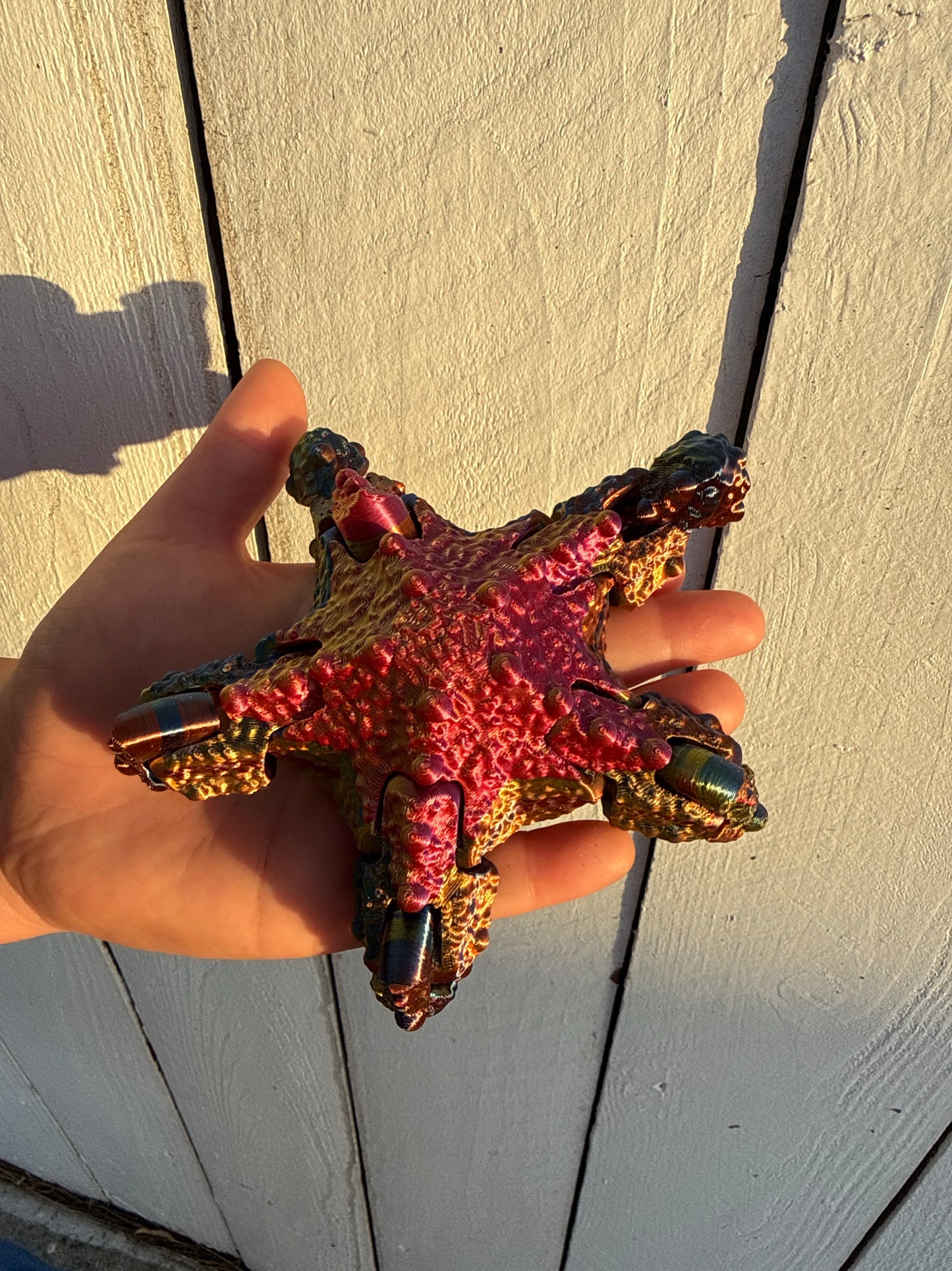 Multicolor articulated starfish 3D print held in hand