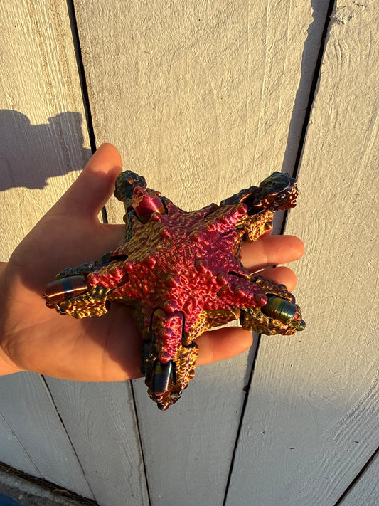 Multicolor articulated starfish 3D print held in hand